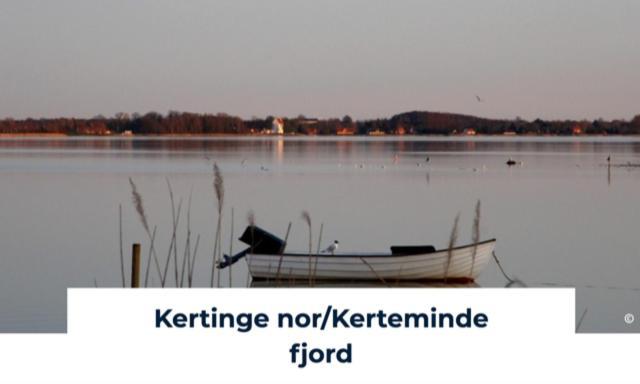 Revninge Guesthouse Zewnętrze zdjęcie